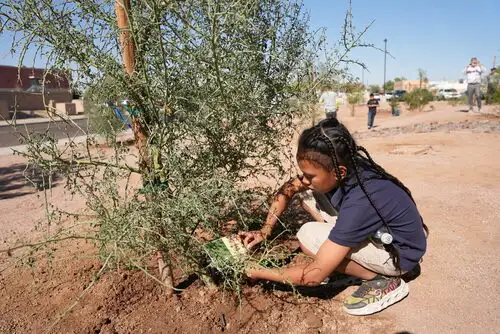 DSC01428-2048×1368 (1)